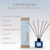 Elements - Water - Wood Sage & Samphire - Scented Reed Diffuser 100ml