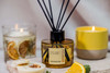Elements - Energy - Bitter Orange & Coriander - Scented Reed Diffuser 100ml