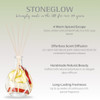Nature's Gift - Spiced Orchard - Scented Reed Diffuser (180ml)
