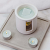 Modern Classics - Sea Salt & Oakmoss - Scented Soy Wax Melts  (16 melts - 192g)