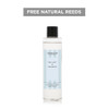 A wonderful fragrance reminiscent of a salty ocean breeze. The freshness of crunchy sea salt wrapped in red sea moss and ozonic minerals will transport you to the seashore at any time.