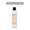 Modern Classics - Orris & Ylang Ylang