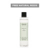 Modern Classics - Green Fig & Cedar - Scented Reed Diffuser Refill 210ml