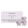 Modern Classics - Plum Blossom & Musk - Scented Soy Wax Melts (192g)
