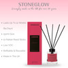 Explorer - London - Pic-a-Lily - Scented Reed Diffuser 150ml