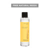 Elements - Energy - Scented Reed Diffuser Refill 210ml (glass bottle)