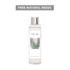 Nature's Gift - Spiced Orchard - Reed Diffuser Refill 210ml