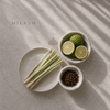 Explorer - Milan - Passion For Fashion - Scented Reed Diffuser 150ml