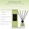 Explorer - Milan - Passion For Fashion - Scented Reed Diffuser 150ml