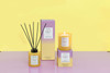 Sol - Sunlit Yuzu - Scented Reed Diffuser & Scented candle