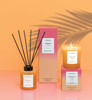 Sol - Peach Fuzz - Scented Reed Diffuser 130ml - Orange Glass