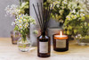 Comes With High quality rattan reeds