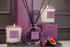 Modern Classics - Spiced Rum & Fig - Scented Reed Diffuser 120ml