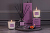 Modern Classics - Spiced Rum & Fig - Scented Reed Diffuser 120ml