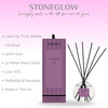 Modern Classics - Spiced Rum & Fig - Scented Reed Diffuser 120ml