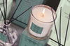 Modern Classics - Eucalyptus & Cedar - Scented Candle - Boxed Tumbler (90 x 80mm)