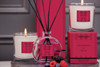Modern Classics - Cranberry & Rose - Scented Reed Diffuser 120ml