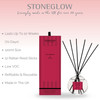 Modern Classics - Cranberry & Rose - Scented Reed Diffuser 120ml