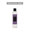 Explorer - Dubai - Spice Up Your Life - Reed Diffuser Refill 210ml