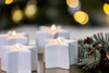 Seasonal - Frosted Woods - Pear, Patchouli & Musk Ceramic Star Scented Tealights