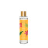 Urban Botanics - Ceramic - Yuzu | Mango - Reed Diffuser Refill