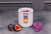 Spiced Rum & Fig - Scented Candle/ Diffuser/ Wax Melt Bundle