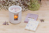 The Walled Garden - Wisteria Blossom - Wisteria | Peony | Pear- Scented Botanical Soy Wax Melt Snap Bar - 55 grams