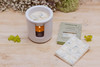 The Walled Garden - Lemon Verbena - Vanilla | Verbena | Iris - Scented Botanical Soy Wax Melt Snap Bar - 55 grams