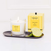 Modern Classics - Lime Zest & Tonka - Scented Candle - Boxed Tumbler (90 X 80mm)