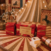 Seasonal - Cosy Vibes Cracker - Nutmeg, Ginger & Spice Scented Botanical Soy Wax Melts x 3
