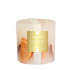 Seasonal - Festive Wishes - Orange, Cinnamon & Clove 1 Wick Botanical Pillar