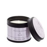 Modern Classics - Plum Blossom & Musk - Scented Candle Tin