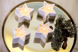Seasonal - Frosted Woods - Pear, Patchouli & Musk Ceramic Star Scented Tealights