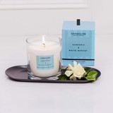 Modern Classics - Gardenia & White Musk - Scented Candle - Boxed Tumbler (90 X 80mm)