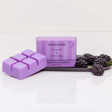 Modern Classics - Cassis & Vetiver Soy Wax Melt Snap Bar 79 grams