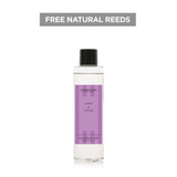Modern Classics - Cassis & Vetiver - Scented Reed Diffuser Refill 210ml