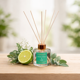 Seasonal Collection - Eucalyptus & Lime - 1x Diffuser 50ml + Reed Sticks (NO GIFT BOX)