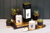 Keepsake - Ceramic - Make a Wish - Thyme | Sea Salt | Sweet Balsam - Scented Candle