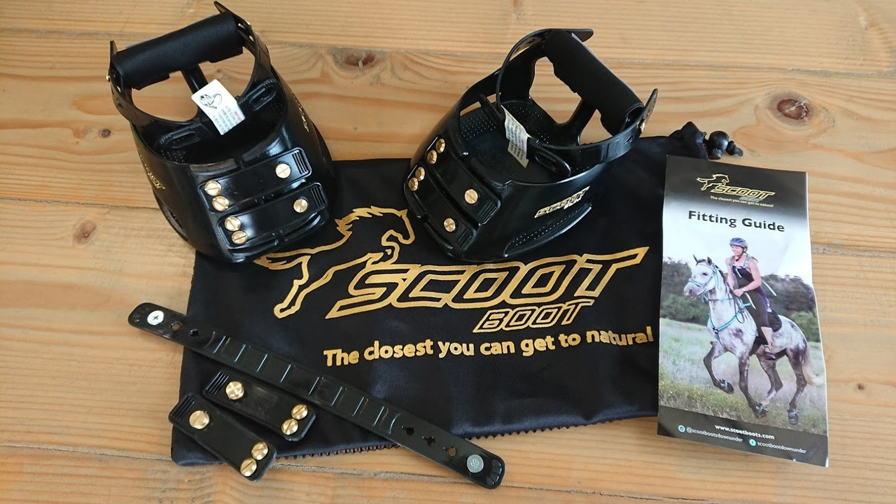 Buy Scoot Boot Slims: Hoof Boots for Barefoot Hooves