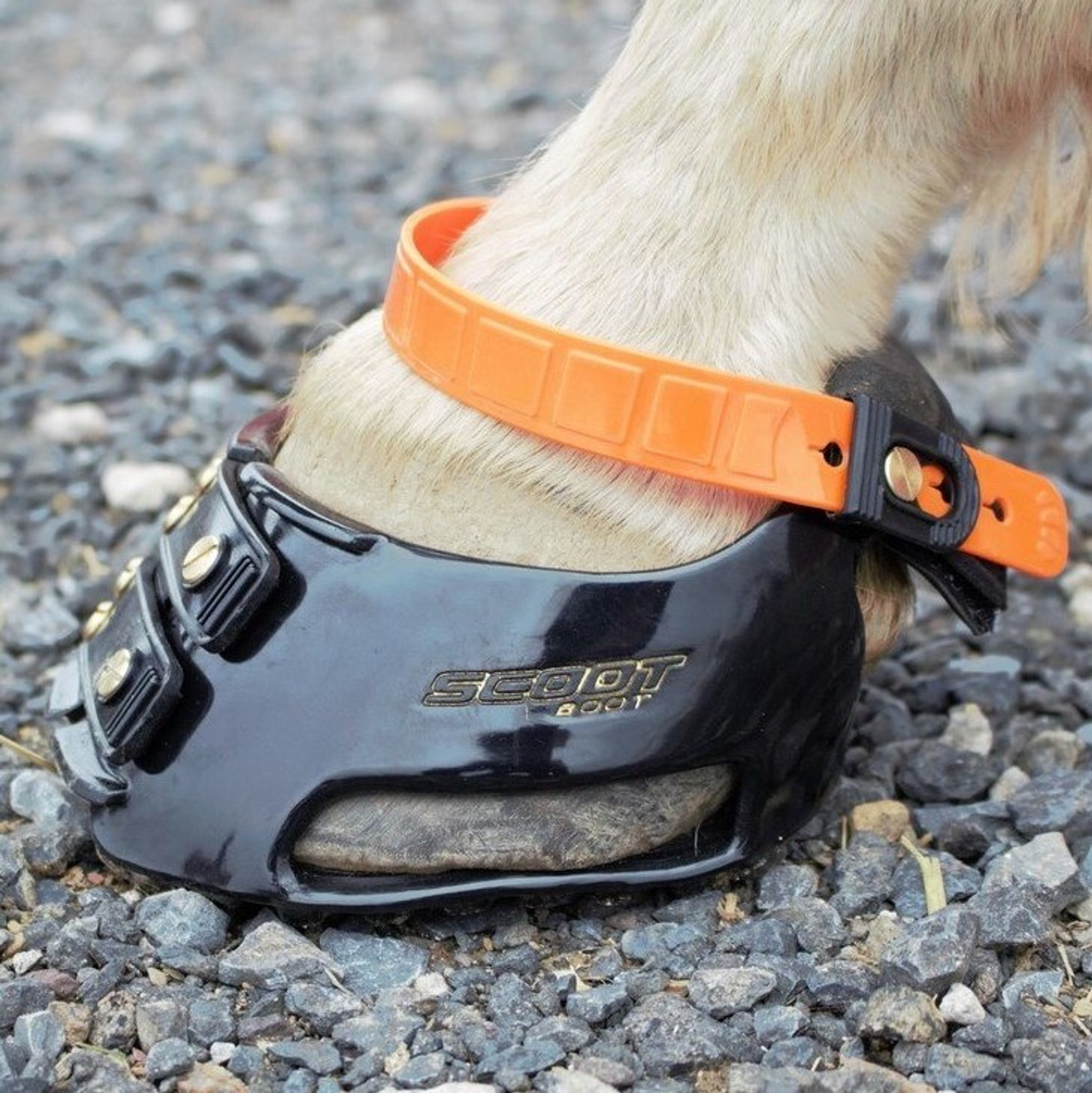 Try Scoot Boots Demo Scoot Boots Scoot Boot Trial Round