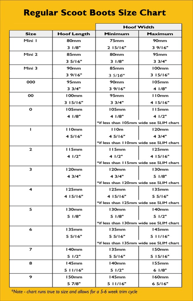 regular-size-chart.jpg regular-size-chart.jpg