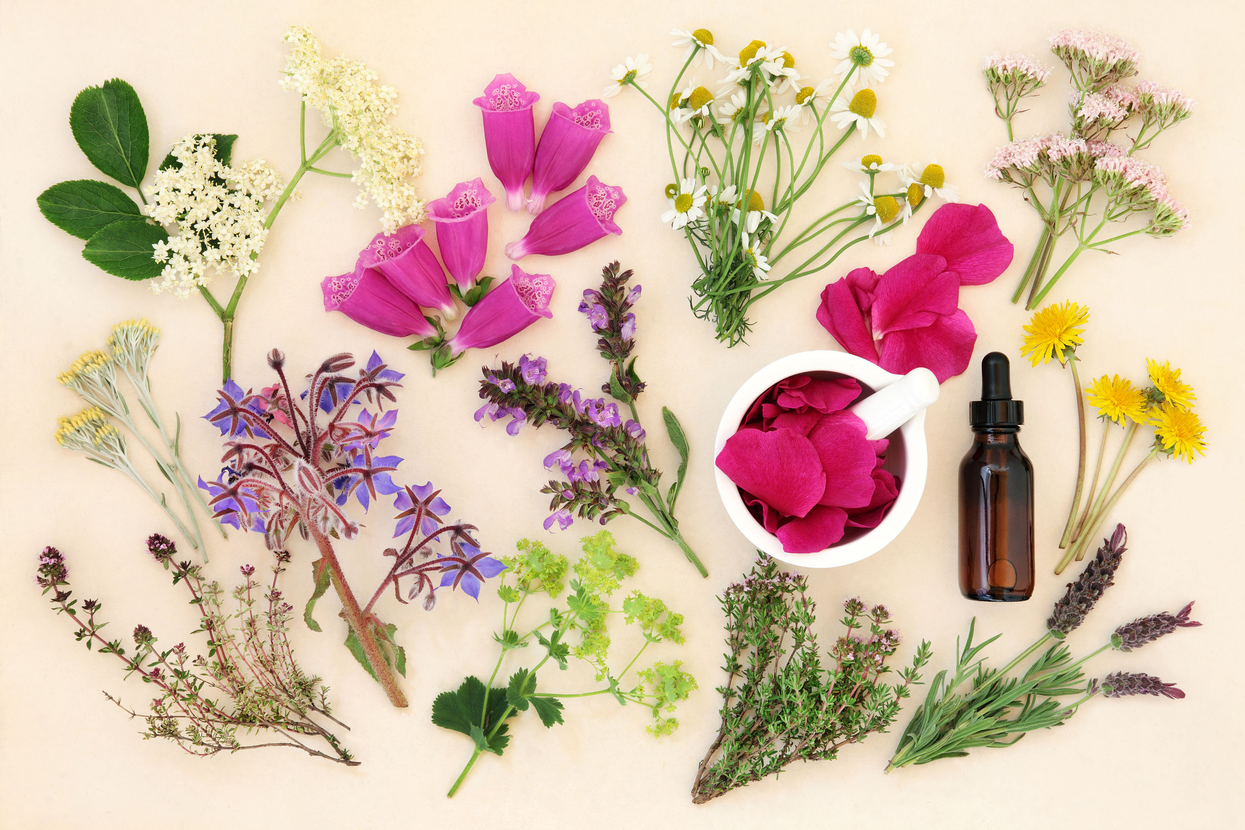 Healing through Power of Nature
