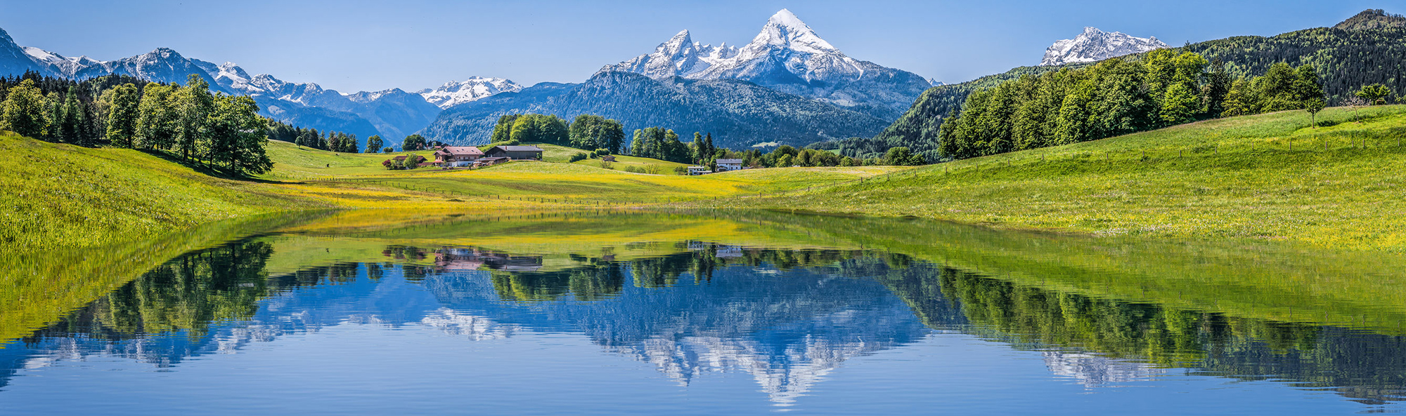 How to get started with a toxin-free lifestyle – Solné