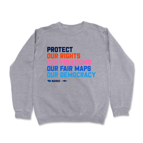 Protect... (Dark Ash Crewneck Sweater)