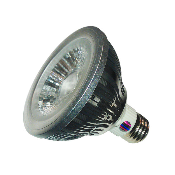 PAR 30 COB White