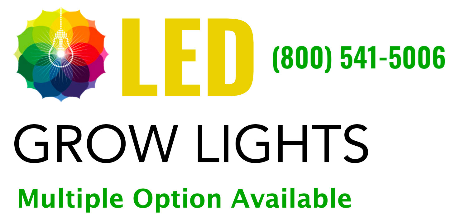 grow-light-category-header-22.jpg
