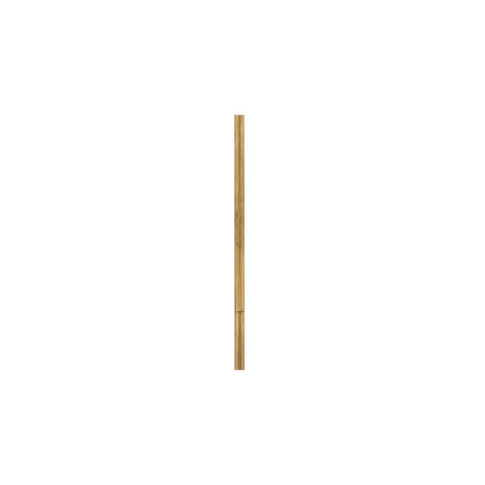 Accessory 12 Inch Stem .5 Inch Diameter by Hinkley 6060 - 6060