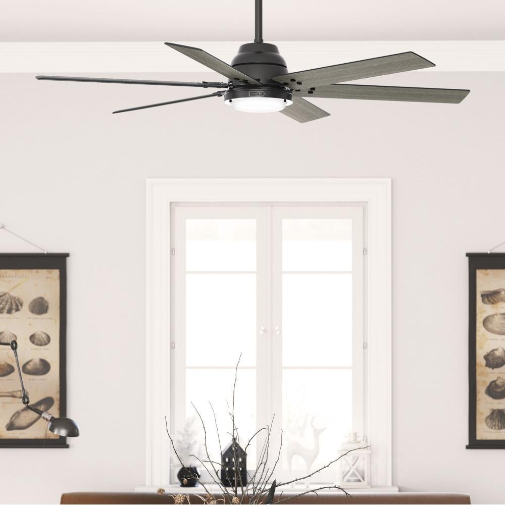 {"pim_id":"166_51951_lifestyles_3_new_2k","sku":"166_51883_P","media_type":"media"}