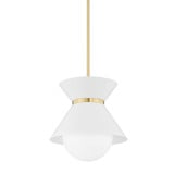 Scout 1 Light Medium Pendant by Troy - F86-15