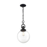 Skyloft 1 Light Small Pendant by Nuvo - 60-667-1P